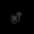 Elegant Decorative Ornament Set With Green Plants In Brown Pots And Black Base