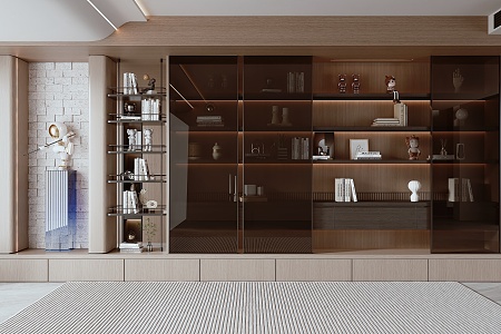 Modern bookcase 3d model