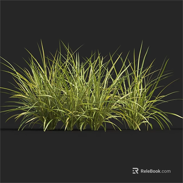 Green Grass with Slender Leaves in Clustered Growth Against Black Background 3d model 
