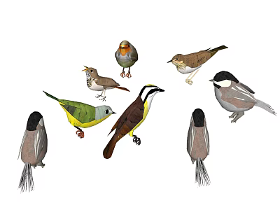 Modern Bird Little Bird Lark 3d model