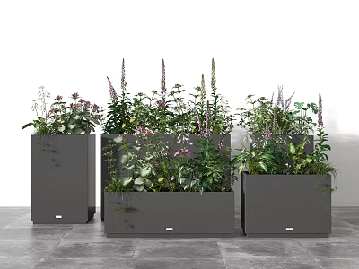 Potted Plants in Gray Rectangular Planters with Green Plants and Purple Flowers on Gray Floor 3d model