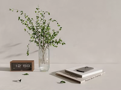 Modern Decorative Ornament Set With Green Plant Glass Vase Wooden Clock Books And Mobile Phone 3d model