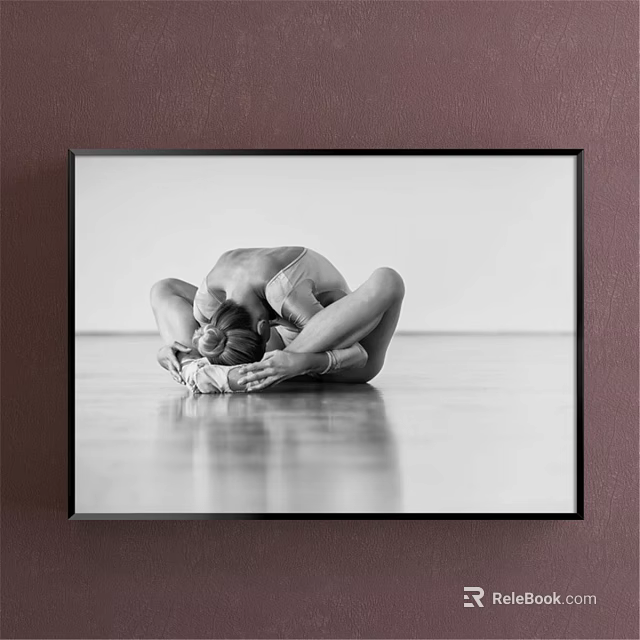 Black and White Framed Figure Painting of Ballerina in Curled Pose with Floor Reflection 3d model 