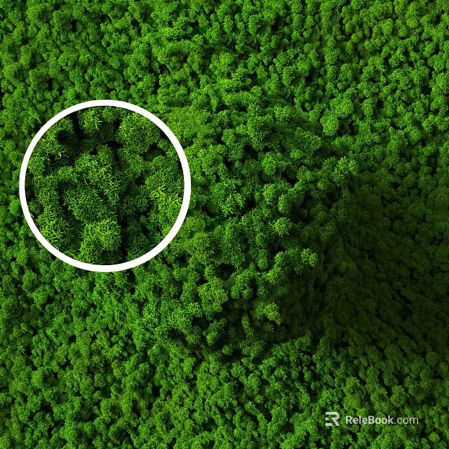 Lush Green Living Wall With Dense Foliage And Circular Highlight 3d model 