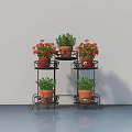 Potted Plants On Black Metal Tiered Stand With Red Flowers Green Foliage And Terracotta Pots