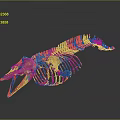 Detailed Fish Skeleton Anatomical Structure With Bone Remains And Skeletal Framework