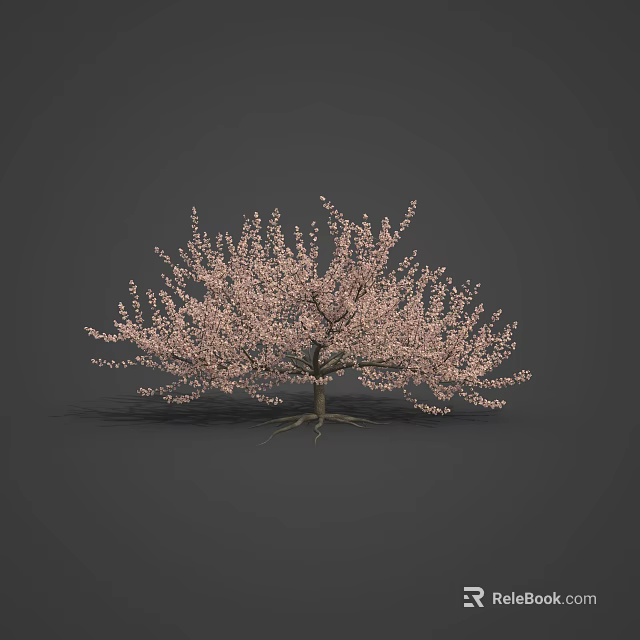 Beautiful Pink Cherry Blossom Tree For Spring Themed Food Presentation 3d model 