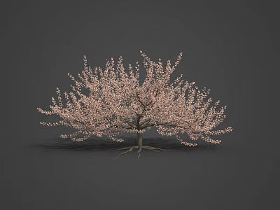Beautiful Pink Cherry Blossom Tree For Spring Themed Food Presentation 3d model