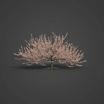 Beautiful Pink Cherry Blossom Tree For Spring Themed Food Presentation 3d model