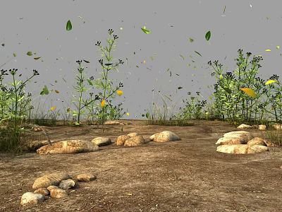 Natural Outdoor Scene With Stones Green Plants And Falling Leaves On Ground 3d model