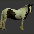 Realistic Brown and White Pony Standing on Gray Surface with Reflection