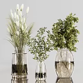 Transparent Glass Vases With White Flowers Green Leaves And Wheat Ears On Light Gray Background