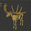 Yellow Deer Skeleton Model 3D Rendering with Detailed Antler and Bone Structure