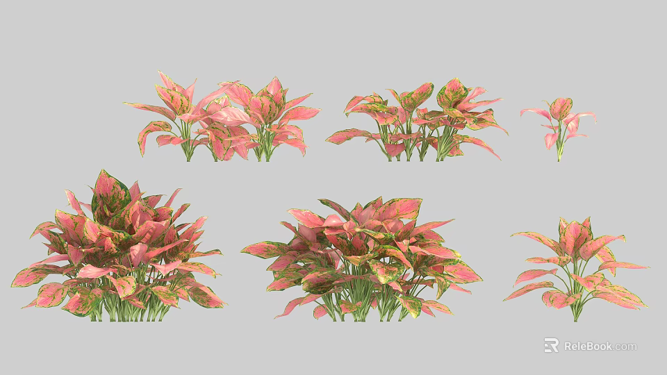 Various Colorful Decorative Plants With Pink And Green Leaves For Home Decoration 3d model 