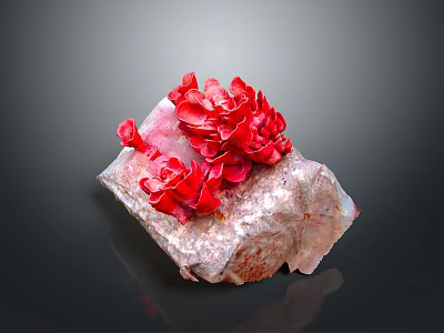 Red Flower Shaped Food Garnish Placed On Rock Surface 3d model