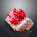 Red Flower Shaped Food Garnish Placed On Rock Surface 3d model
