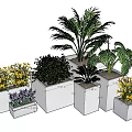 Bonsai and Potted Plants Display With Various Green Plants and Square White Ceramic Pots