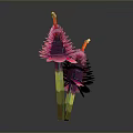 Two Pink Flower Like Plants With Layered Petals Green Stems And Yellow Tips