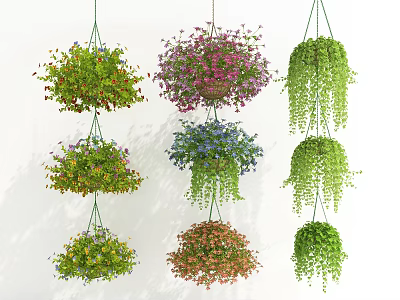 Colorful Hanging Basket Plants With Lush Greenery And Diverse Varieties For Home Decor 3d model