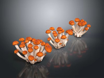 Orange Cap Mushrooms Fresh Cluster With White Stems On Dark Reflective Surface 3d model