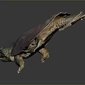 Turtle Cartoon Turtle Snapping Turtle Chickbill Turtle Reptile Cold Blooded Animal Reptile Class 3d model