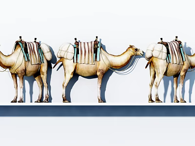 The Modern Camel 3d model The Modern Camel 3d model