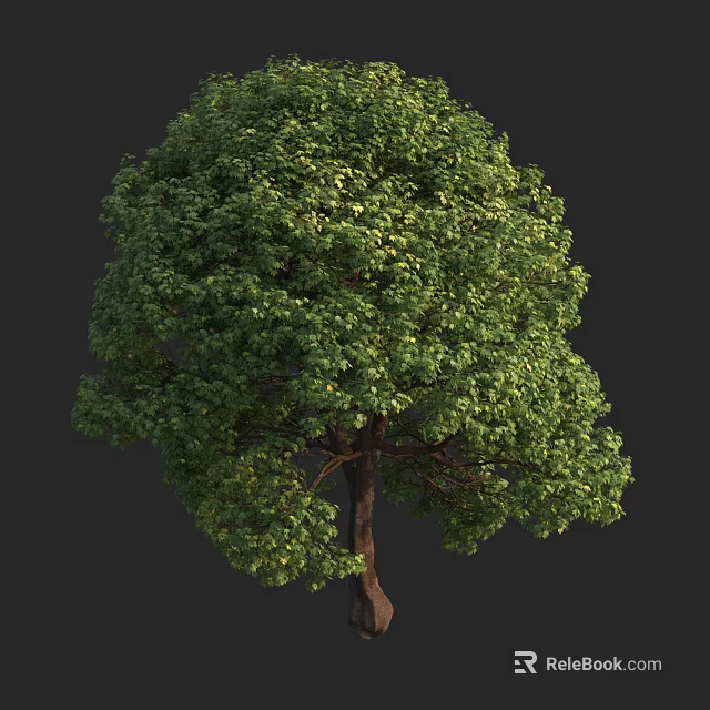 Lush Green Arbor With Dense Foliage And Brown Trunk In Natural View 3d model 