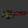 Deep Sea Anglerfish With Green Body Red Fins Glowing Lure And Sharp Teeth