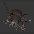 Dark Brown Beetle With Shiny Exoskeleton And Extended Antennae On Dark Background