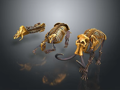 Three Golden Prehistoric Mammoth Skeletons Displayed on Dark Reflective Background 3d model