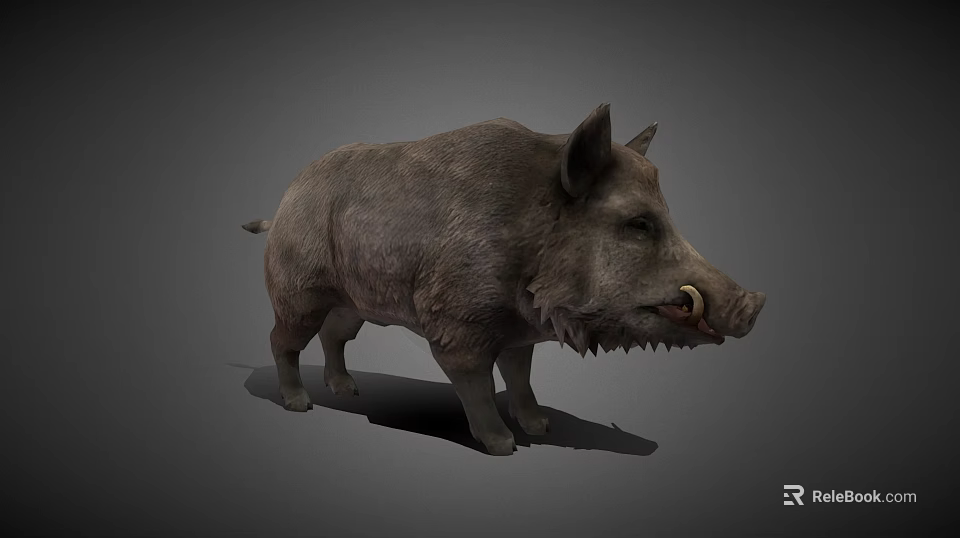 Realistic Standing Wild Boar With Gray Fur Sharp Tusks And Detailed Features 3d model 