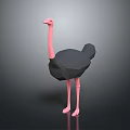 Stylized Low Poly Ostrich 3D Character Model With Black Body Pink Neck And Legs
