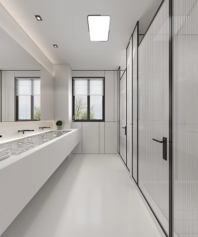 Modern Public Toilet Interior Design With White Washbasin Large Mirror And Glass Partition Doors 3d model