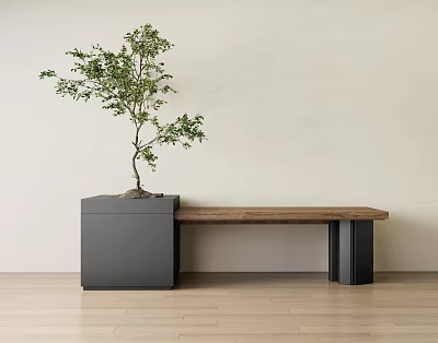 Wooden Bench with Black Metal Legs beside Gray Planter holding Tree Light Wall Wooden Floor 3d model