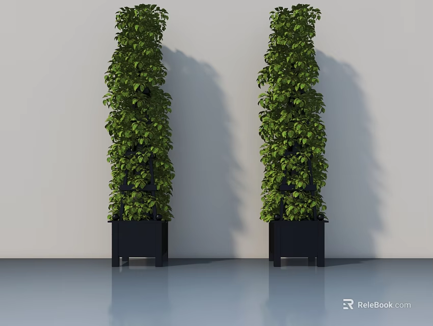 Tall Green Potted Plants in Black Square Pots Against White Wall and Smooth Floor 3d model 