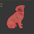 Brown Pug Dog Sitting On Shiny Surface With Gray Background And Reflection 3d model