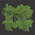 White Trellis Garden Arch Adorned With Lush Green Vines For Outdoor Decoration