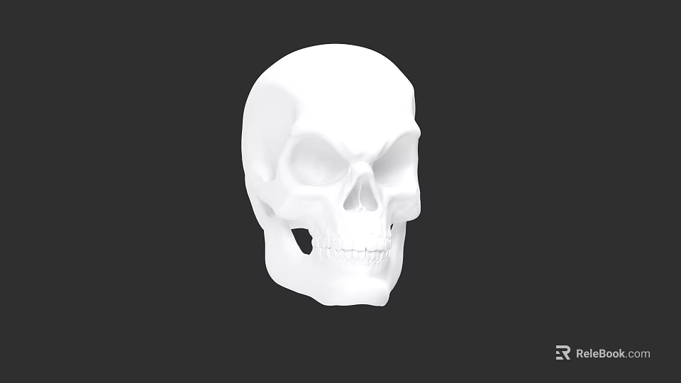 White Human Skull 3D Model Isolated On Black Background With Detailed Features 3d model 