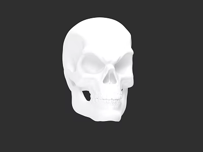 White Human Skull 3D Model Isolated On Black Background With Detailed Features 3d model
