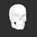 White Human Skull 3D Model Isolated On Black Background With Detailed Features