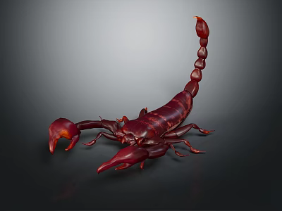 Red Scorpion With Curved Tail Sharp Claws And Shiny Body On Dark Background 3d model