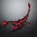 Red Scorpion With Curved Tail Sharp Claws And Shiny Body On Dark Background