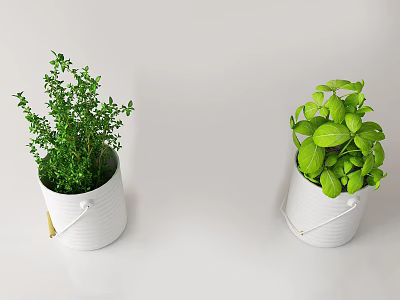Two White Bucket Shaped Planters With Green Herb Potted Plants On White Background 3d model