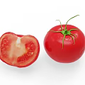 Modern Tomato 3d model
