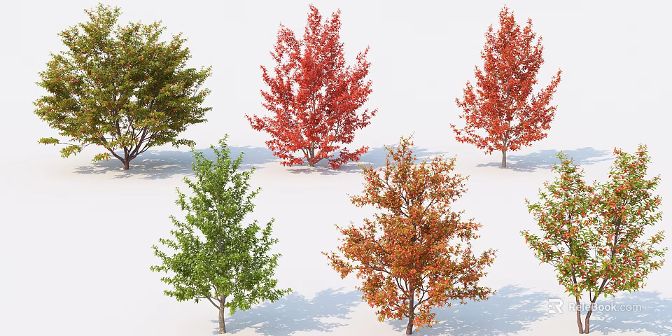 Various Arbor Trees With Green Red Orange Foliage And Natural Shadows 3d model 
