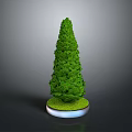 Conical Green Plant With Round Base And Grass Like Decoration On Gray Background