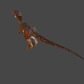 Realistic 3D Velociraptor Model With Brown Orange Stripes Standing Open Mouth