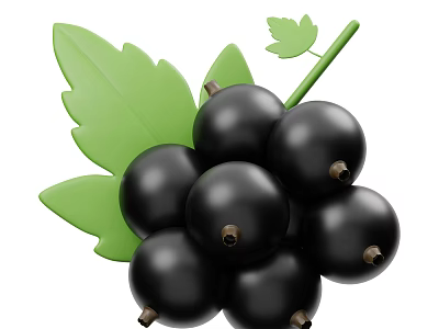 Vibrant Fresh Ripe Blackcurrant Berries With Green Leaves And Stems 3d model