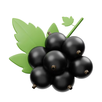 Vibrant Fresh Ripe Blackcurrant Berries With Green Leaves And Stems 3d model