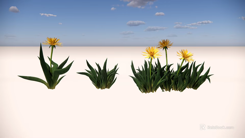 Vibrant Yellow Flowers With Green Leaves Under Blue Sky And White Clouds 3d model 